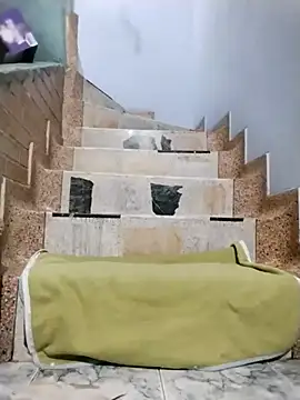 OliviaMorris1