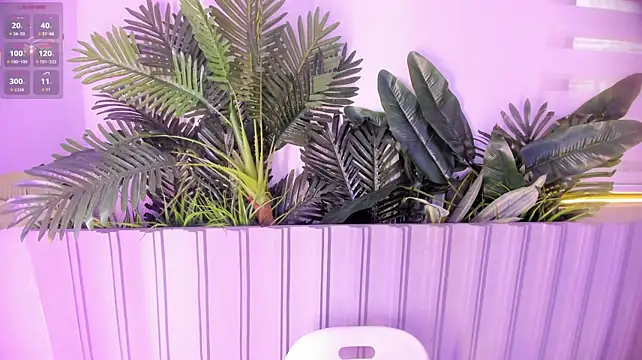 Stephanymonroe