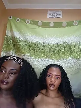 Prettyshan254 - Assclap and dildo ride with friends