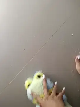 Karii-R - ☔☔SQUIRT ON MY PLUSH TOY🐸🐻