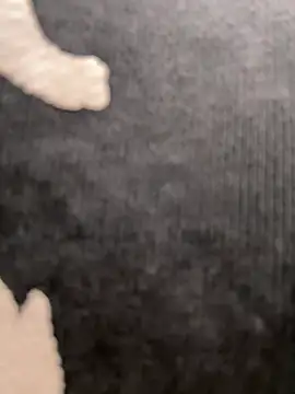 FroggyAnna - squeeze NAKED BOOBS behind UBER driver