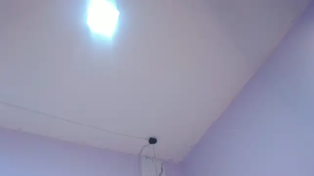 Angelica_bouvier