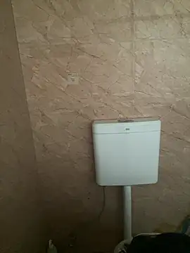 Dongaaq