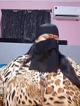 Egypt_monmon - صناعي في كسي