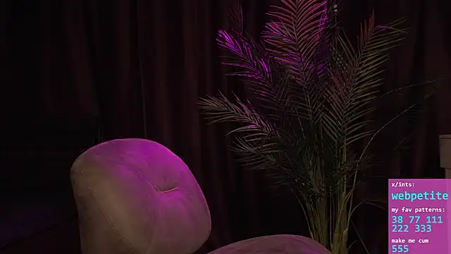 Webpetite