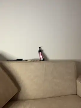 Celeste_Amber