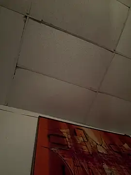 BunnyYT - Broke college student