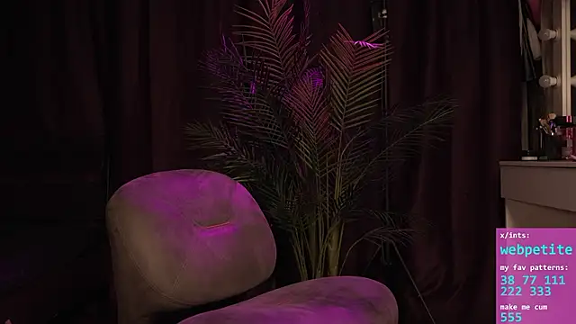 Webpetite