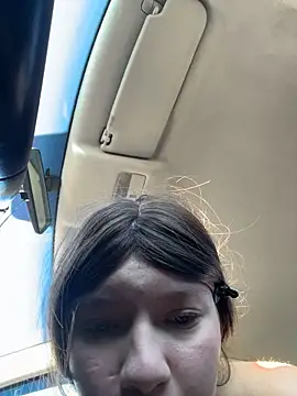 Fuck_Trailer_Hitch