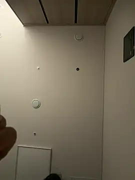 Ppsz8899