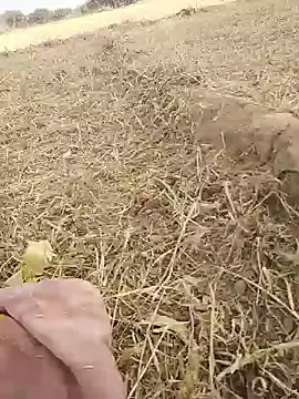 Delhicouple50 - Cum show