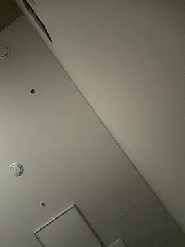 Ppsz8899
