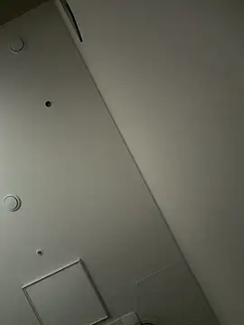 Ppsz8899