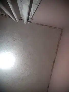 Pretinha_folgosa