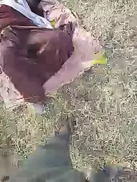 Delhicouple50 - Cum show