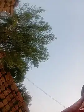 Manavi_x