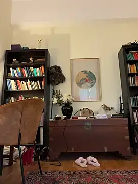 -Alisa - Suck Dildo