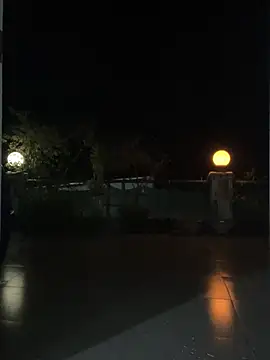 My_Melodyy - Make me cum pussy in public garden 🪴😈