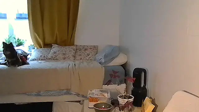 Belgianshantie - flash pussy