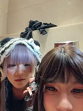 MeimoDog