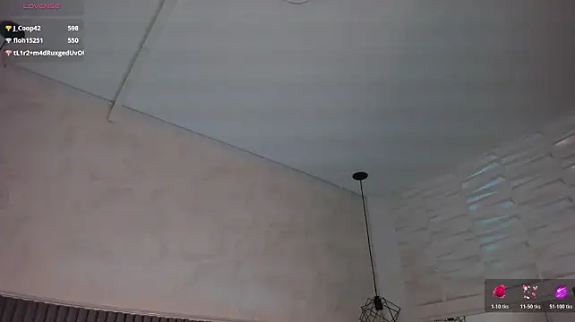 SOPHICARTERS - PLUG ANAL AND OIL