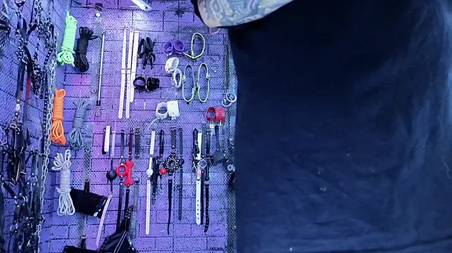 PANDORANEZZ - nipple clamps