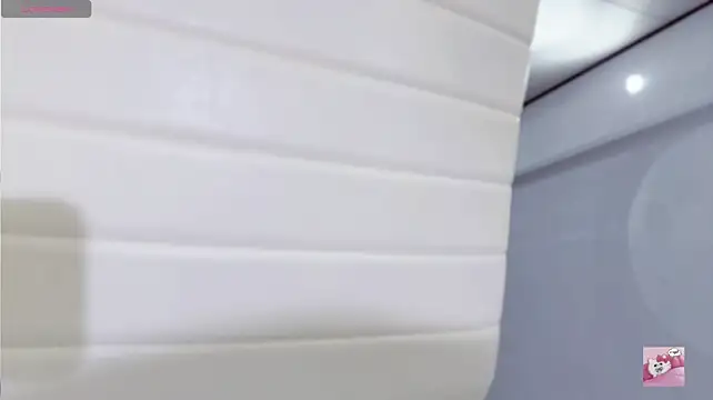 Teresa_pland
