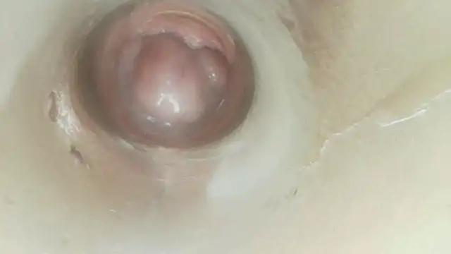 Karol_stom - PLUG MY ASS