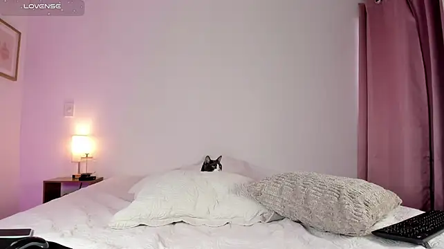 Lilabril - The last tip controls 2 toys 3 min
