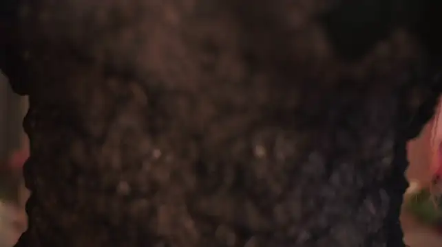 Julia_RL