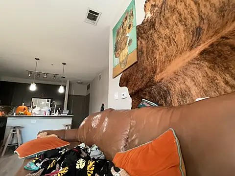 Ash10alex - Dildoooo