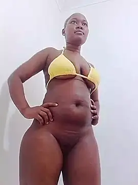 Shamillla