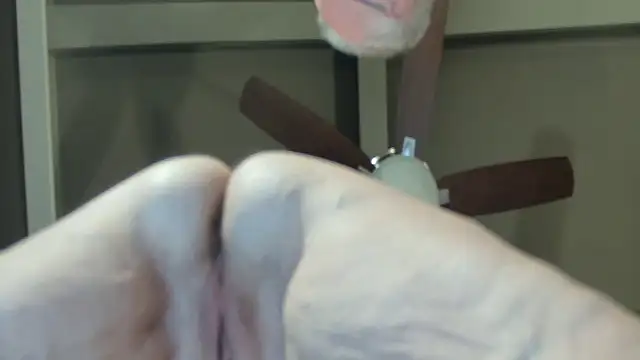 Hornylouisewil
