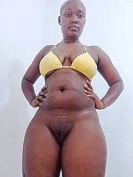 Shamillla
