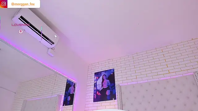 Morggan_Fox_ - PLUG ANAL