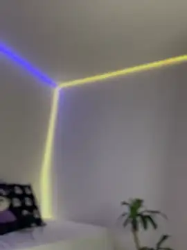 AmmyCollinsW