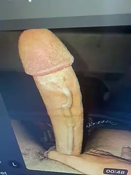 Lilybeeth