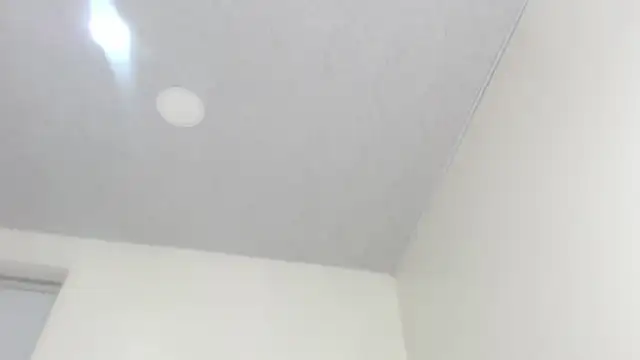 Kitty_Mifl