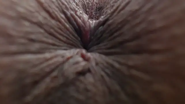 GanseloMix - FISTING Deep hardeer cryy woooow