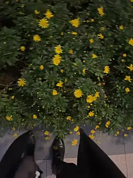 Pennyqueen - 做我国王🫅可以进专属福利畅玩哟🥰😘😋💕😍
