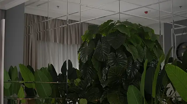 AvaReedX - let me feel the taste of ur cock