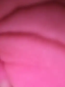 Milly_SP