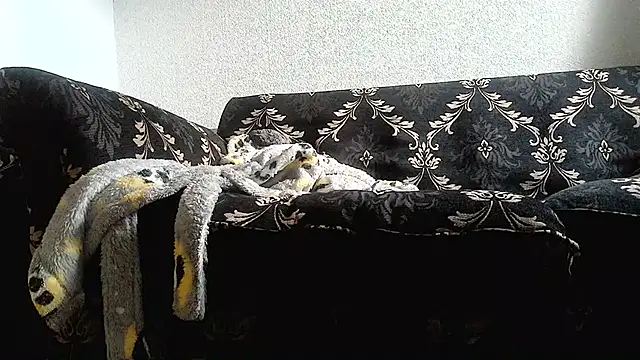 Nerd_couple - peitos