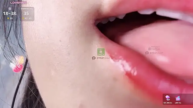 Ice1-1e - 控制2分钟