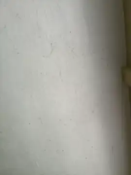 Aylin-fire - Flash pussy😏🌸