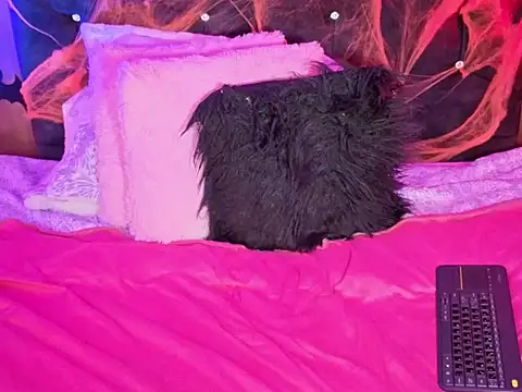 Gahia_Thompson - Doggy spanks 😈🍑
