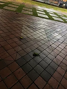 Nide-laoshi - 4S店女销售 下班后无聊 找陌生人刺激（ni 懂得）