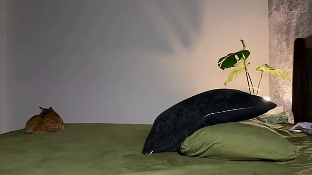 MeowLili