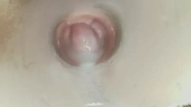 Karol_stom - PLUG MY ASS