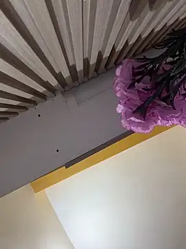 AlmaSajor_ - SQUIRT ON YOUR FACE
